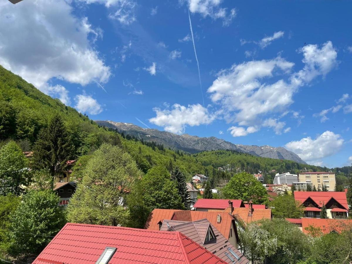 Mountain View Διαμέρισμα Σινάια Εξωτερικό φωτογραφία